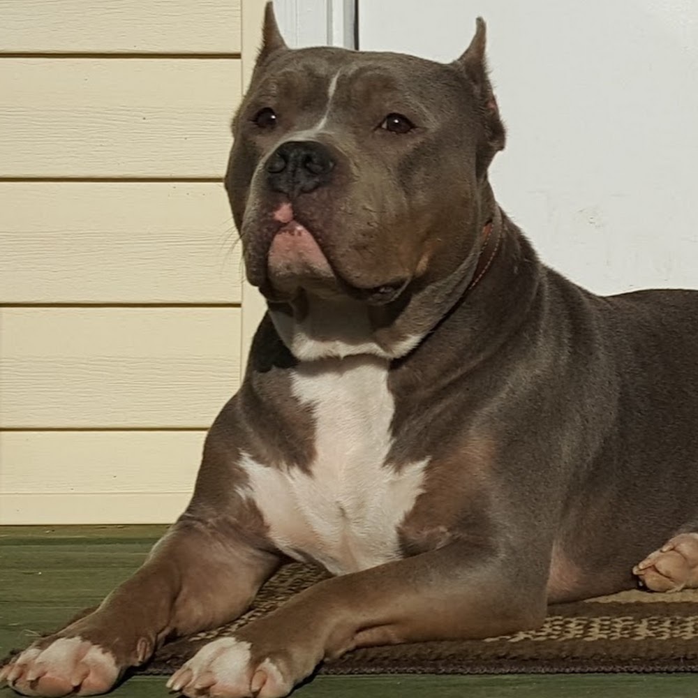 Meet your Posher, Alisha